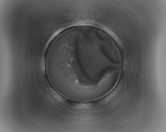 X0000112831224200908281525