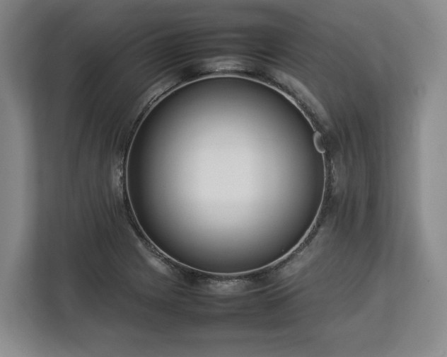 X0000112831225200908281525