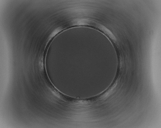 X0000112831226200908281525