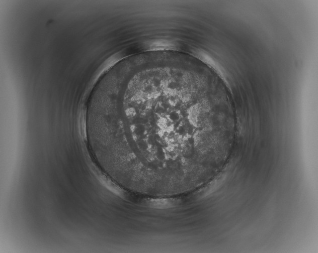 X0000112831227200908281525