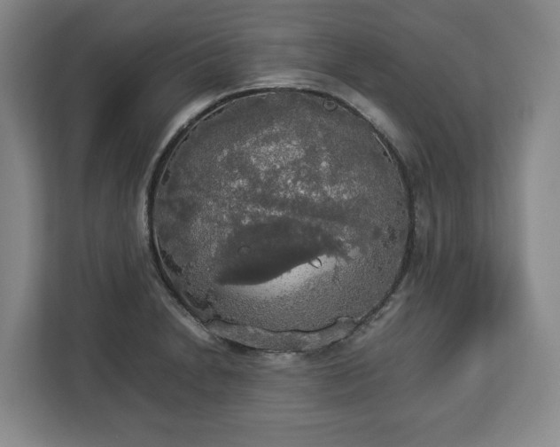 X0000112831230200908281525