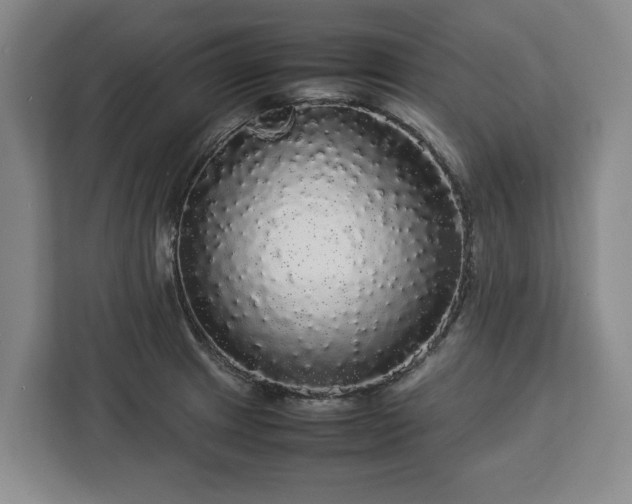 X0000112831233200908281525