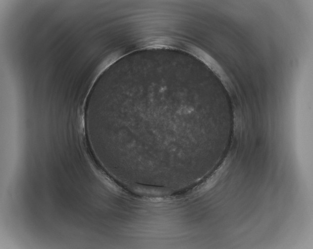 X0000112831234200908281525