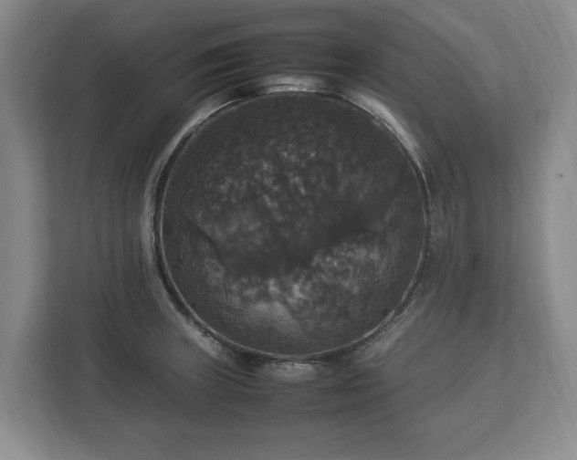 X0000112831235200908281525