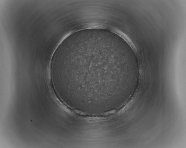 X0000112831236200908281525