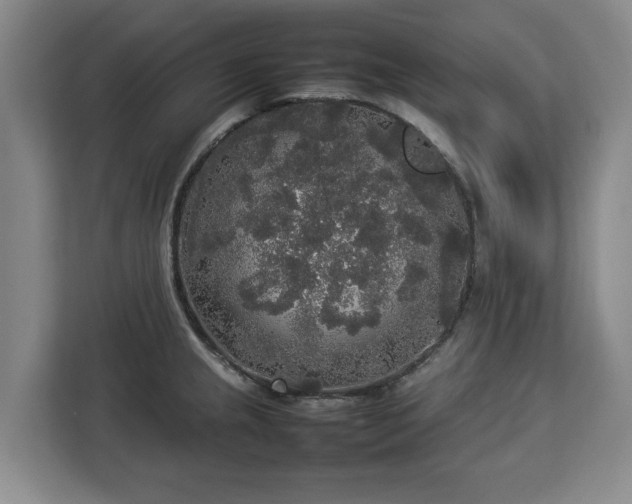 X0000112831237200908281525