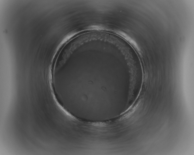 X0000112831239200908281525