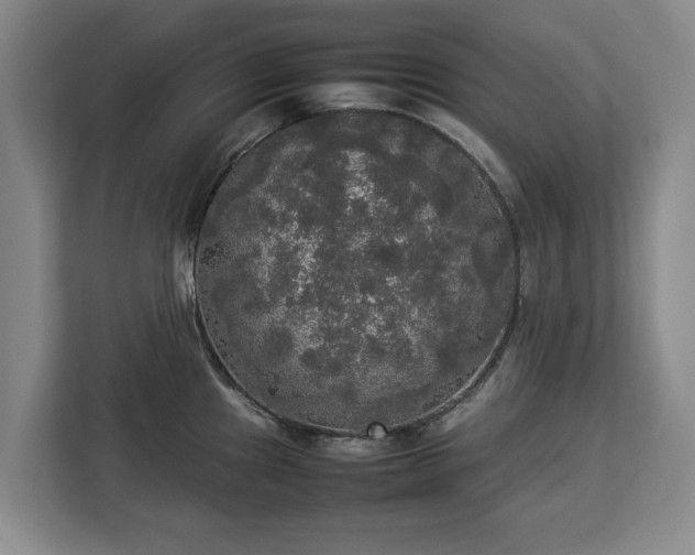 X0000112831241200908281525