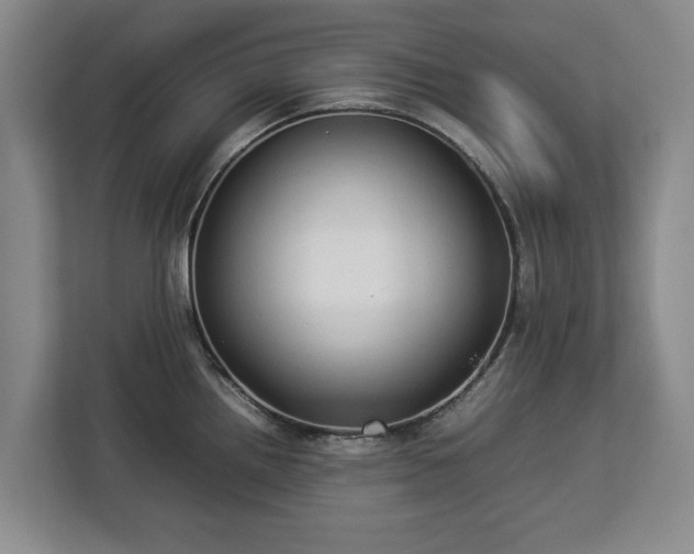 X0000112831242200908281525