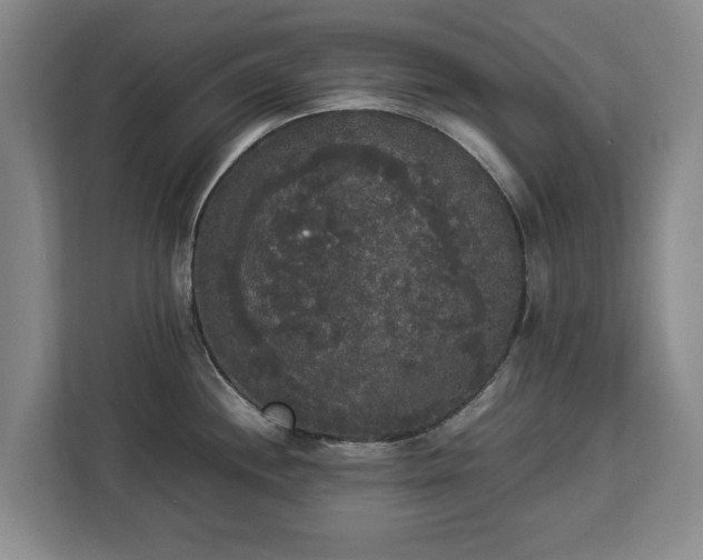 X0000112831244200908281525