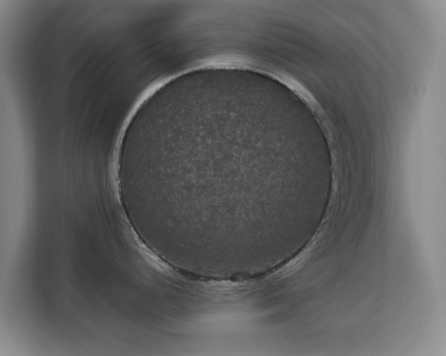 X0000112831248200908281525