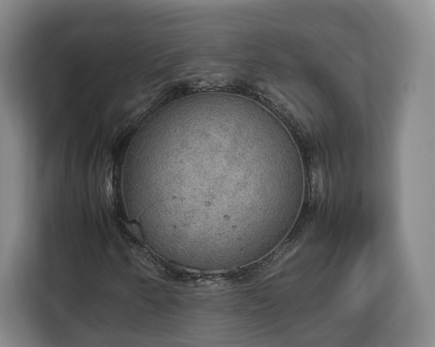 X0000112831250200908281525