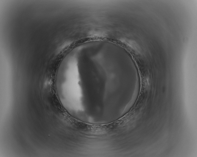 X0000112831254200908281524