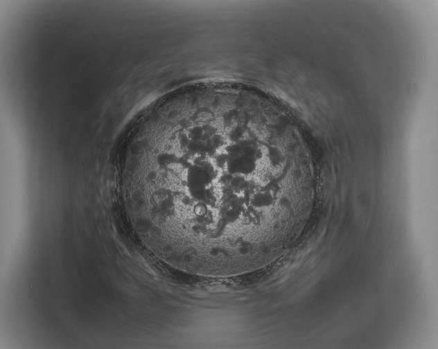 X0000112831255200908281524