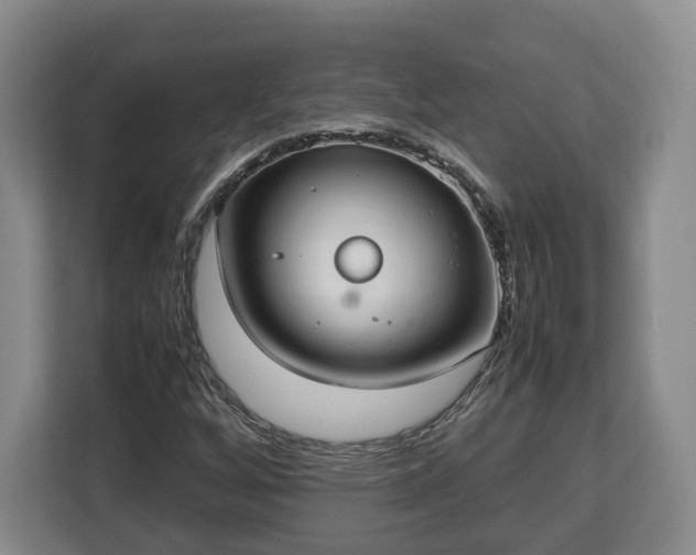 X0000112831256200908281524