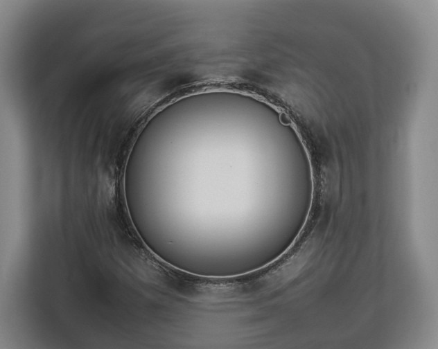 X0000112831257200908281524