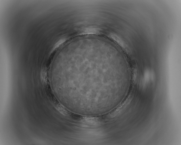 X0000112831258200908281524