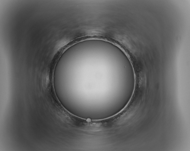 X0000112831261200908281524