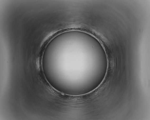 X0000112831262200908281524