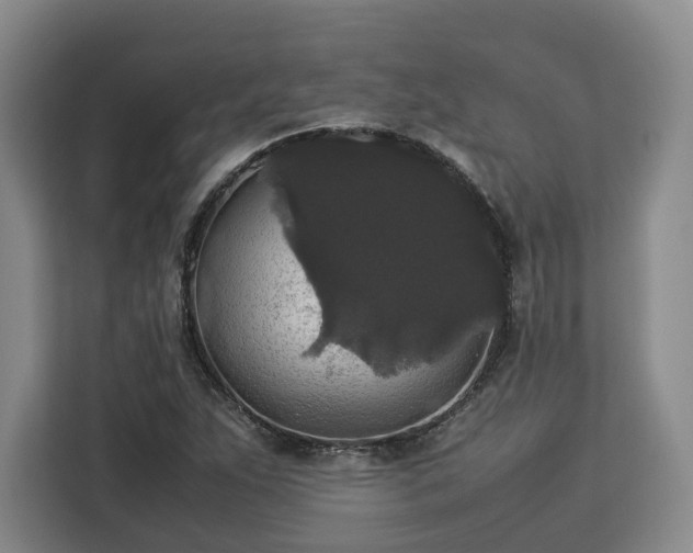 X0000112831263200908281524