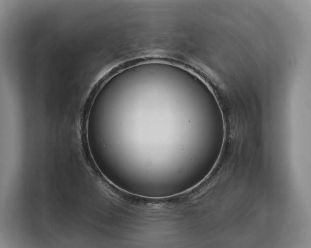 X0000112831264200908281524