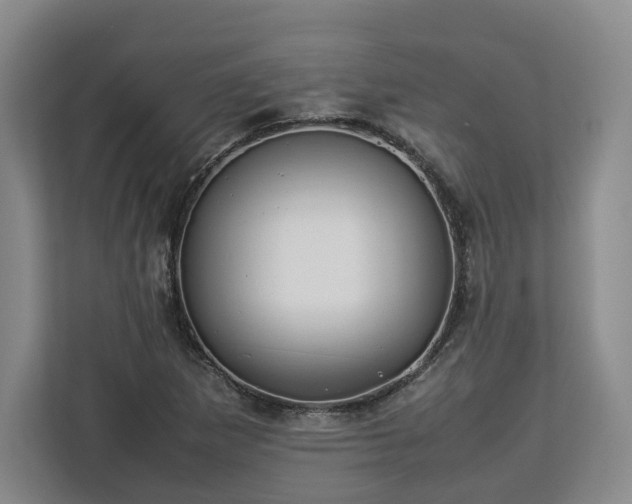 X0000112831265200908281524