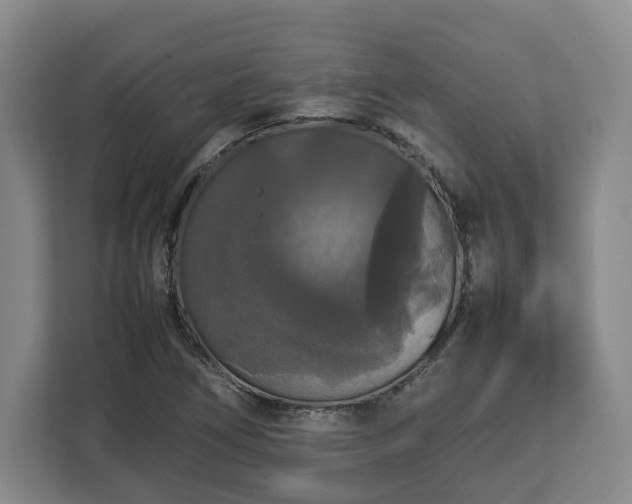 X0000112831266200908281524