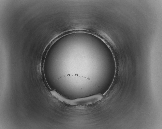 X0000112831268200908281524