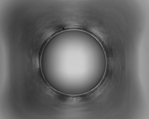 X0000112831269200908281524