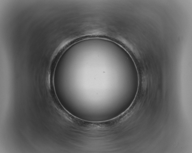 X0000112831270200908281524