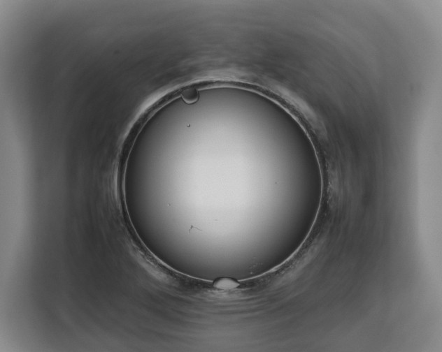 X0000112831272200908281524