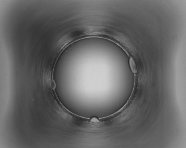 X0000112831273200908281524