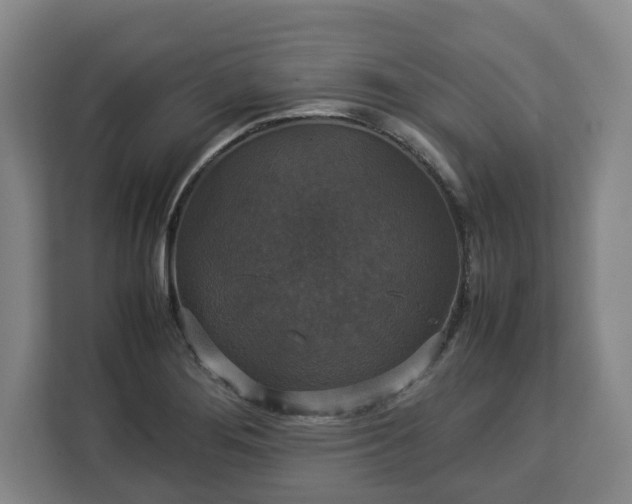 X0000112831276200908281524