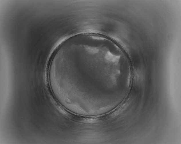 X0000112831278200908281524