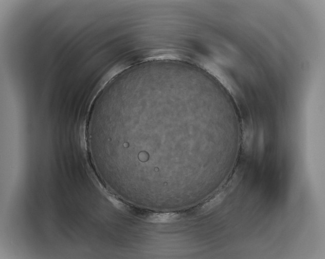 X0000112831282200908281524