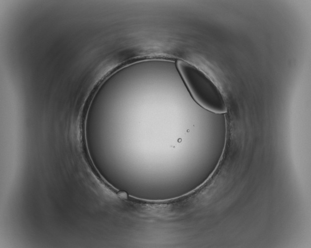 X0000112831285200908281524