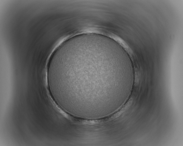 X0000112831286200908281524