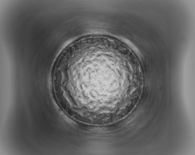 X0000112831287200908281524