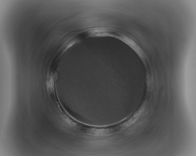 X0000112831289200908281524