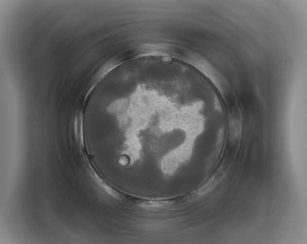 X0000112831290200908281524