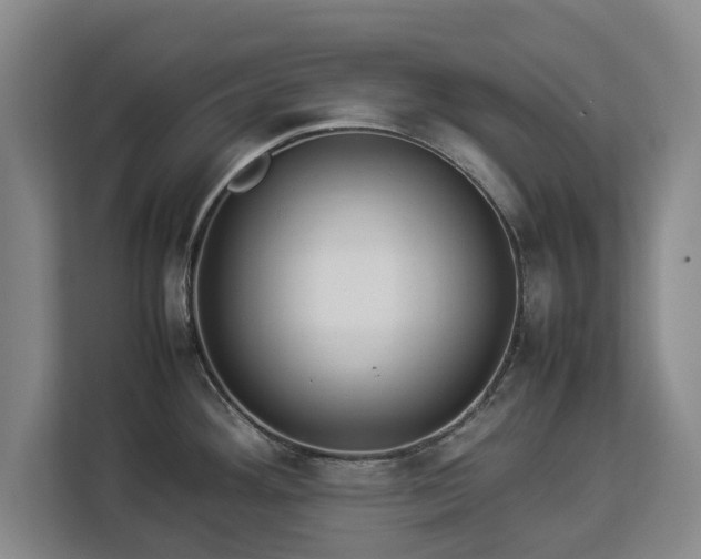 X0000112831292200908281524