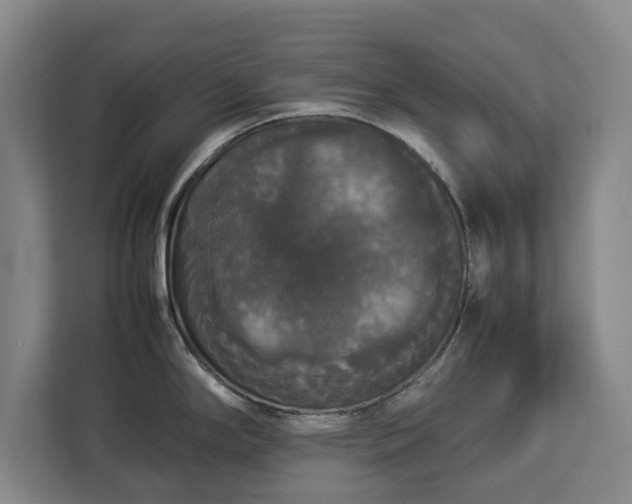 X0000112831294200908281524