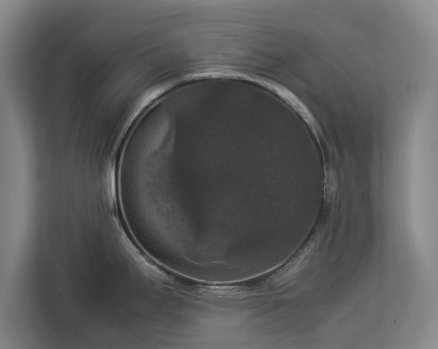 X0000112831295200908281524