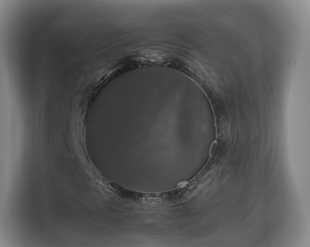 X0000112831297200908281523