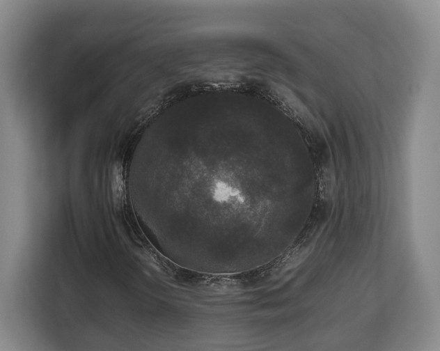 X0000112831298200908281523