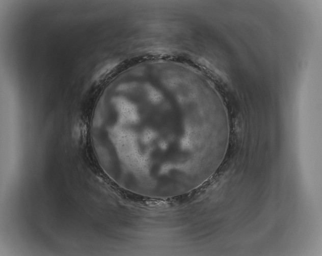 X0000112831302200908281523