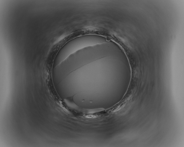 X0000112831303200908281523