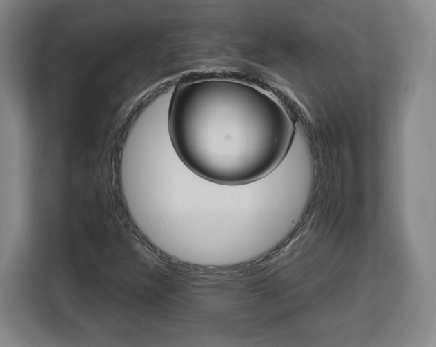 X0000112831304200908281523