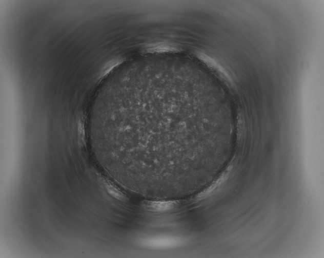 X0000112831305200908281523