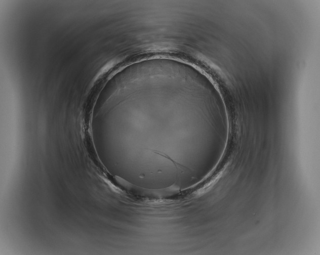 X0000112831306200908281523